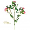 Tralcio Rosa Aida Corallo H. Cm60