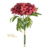 Bundle 6 Dalie Cm.46 Flm