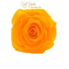 Rose Stabilizzate Monalisa  X3 Giallo Dm6cm