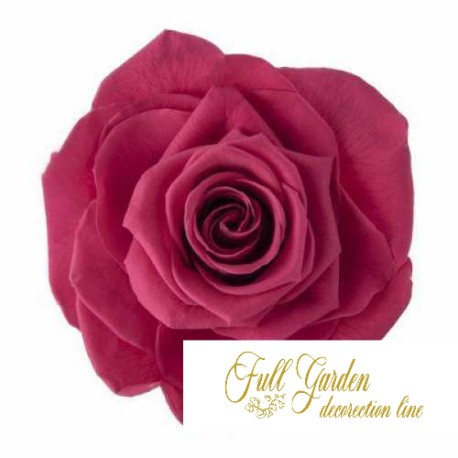 ROSE STABILIZZATE MONALISA  X3 MIRTILLO DM6CM