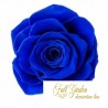 Rose Stabilizzate Ines X6 Blu D.4cm