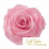 Rose Stabilizzate Monalisa  X3 Rosa Dm6cm