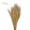 °°°barba Di Bode 100 Gr Naturale