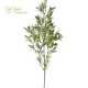RAMO FOGLIE LAURO CM83 - LIGHT GREEN