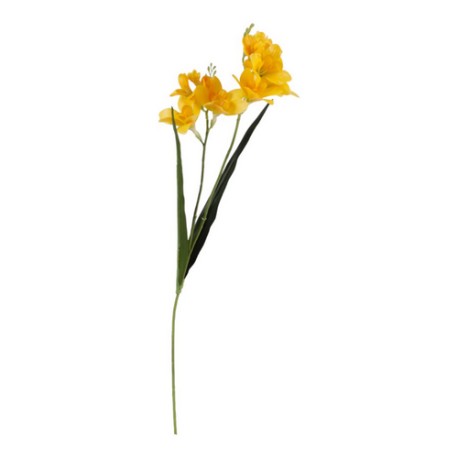 TRALCIO FRESIA YELOW