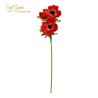 Anemone X 3 Cm.56 Red