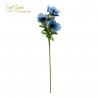 Anemone X 3 Cm.56 Blu