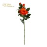 Tralcio Rosa Cm.75 Orange