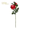 Tralcio Rosa Cm.75 Beauty