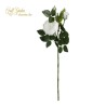 Tralcio Rosa Cabbage  Cm.75 White