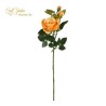 Tralcio Rosa Cabbage  Cm.75 Yellow
