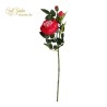 Tralcio Rosa Cabbage Cm.75 Beauty