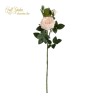 Tralcio Rosa Cabbage Cm.75 Champagne