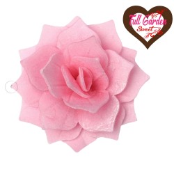 ROSA SFOGLIATA ROSA D4 PEZZI 15