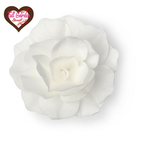 ROSA ROMANTICA BIANCA D.12,5