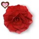ROSA ROMANTICA ROSSA D.12,5