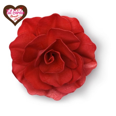 ROSA ROMANTICA ROSSA D.12,5