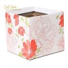 Box Simply Jane 105 X 105 X 100 Mm Rosa Pz 10