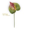 Anthurium Pink Cm 65