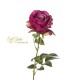 Ramo Rosa Singolo Beauty Cm 66