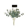 Mazzo  Eucalipto Cm 46 Green