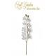 RAMO ORCHIDEE X9 CM95  WHIITE