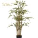 PIANTA BAMBOO X 7 CON VASO CM.95