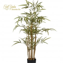 PIANTA BAMBOO X 7 CON VASO CM.95