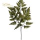 RAMO  FELCE CM.66 12 PEZZI