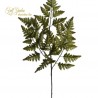 Ramo  Felce Cm.66 12 Pezzi
