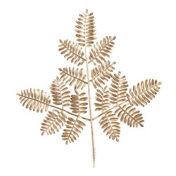 FOGLIA FELCE X3  CM.34