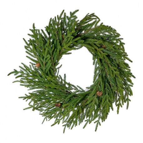 CORONA AURUCARIA FORTUNE CM.60