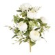 Frontale Peonie X 12  Crema