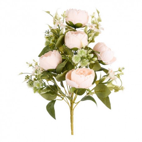 FRONTALE PEONIE X 12  TEA