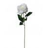 Ramo Rosa 66 Cm Crema