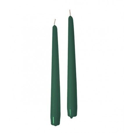 CONICHE VERDE SCURO CM.25 10PZ